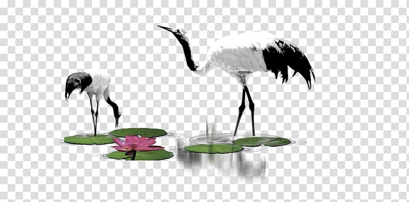 two white-and-black birds, Crane Computer file, crane transparent background PNG clipart