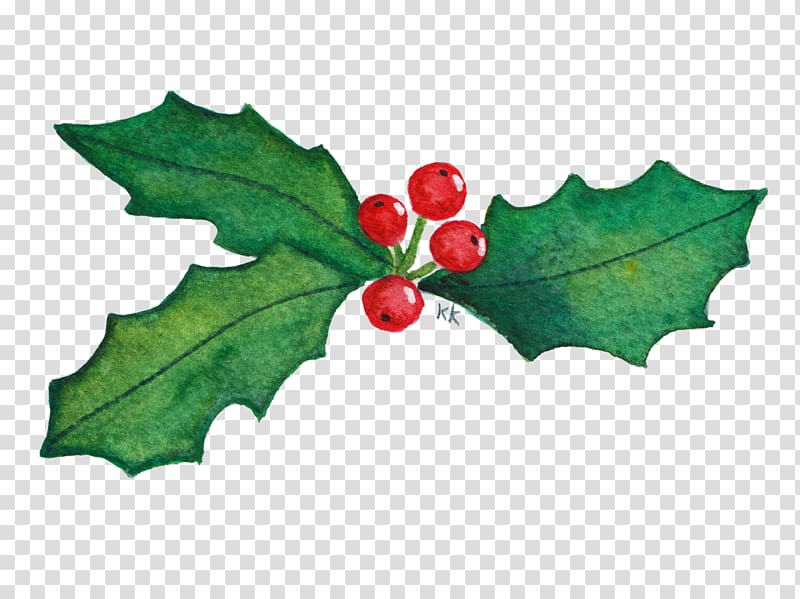 Common holly Drawing Aquifoliales Kleurplaat Mat, Blad transparent background PNG clipart