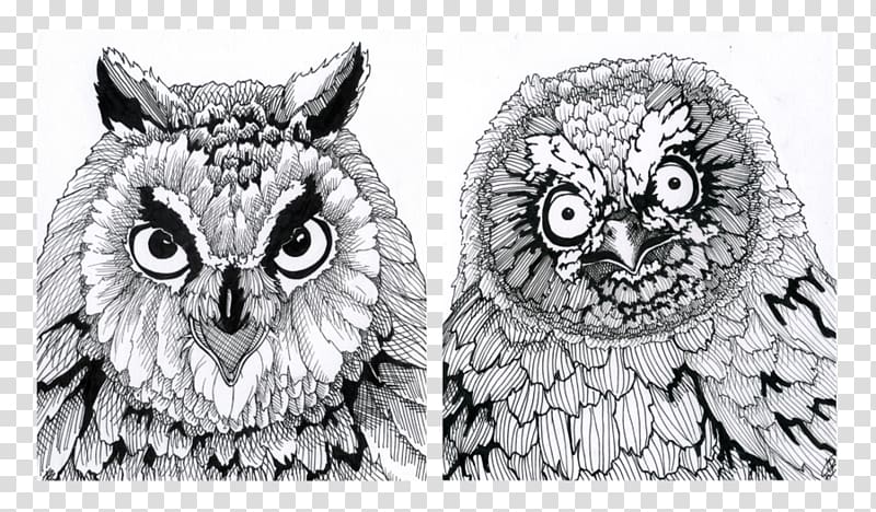 Owl Artist Drawing Bird, creative owl transparent background PNG clipart