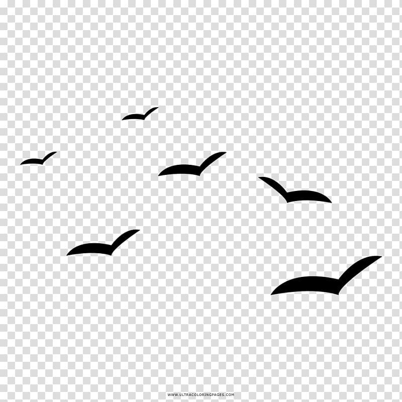 Gulls Drawing Coloring book Black and white Painting, painting transparent background PNG clipart
