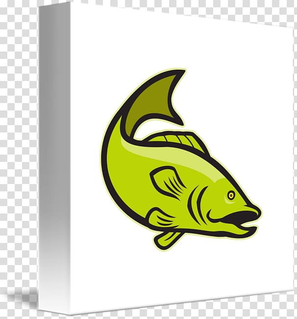 Largemouth bass, Fish Jump transparent background PNG clipart