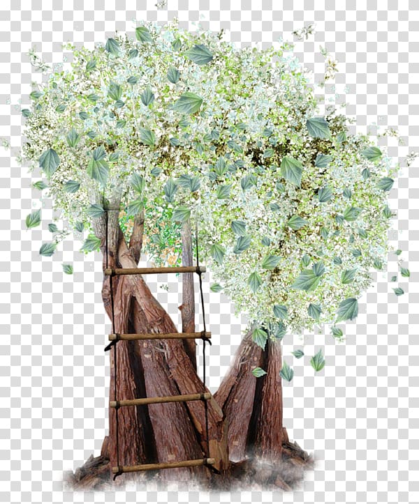 Tree Computer Icons, tree transparent background PNG clipart