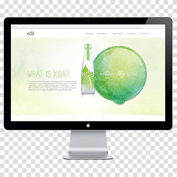 Microsite Web design, web design transparent background PNG clipart