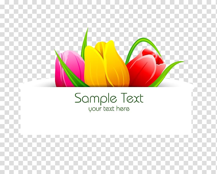 Flower Tulip Banner, Tulip Border transparent background PNG clipart