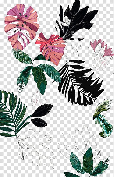 leaves , Flower Drawing , plant transparent background PNG clipart