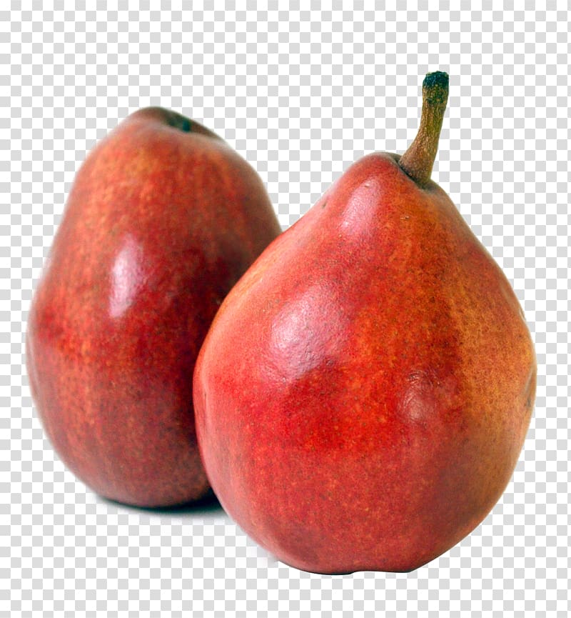 Pear Fruit , Red pears transparent background PNG clipart