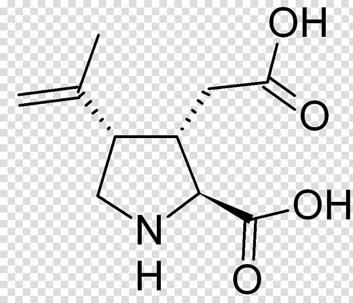 Kainic acid Structure–activity relationship Pharmaceutical drug Chemical compound, others transparent background PNG clipart