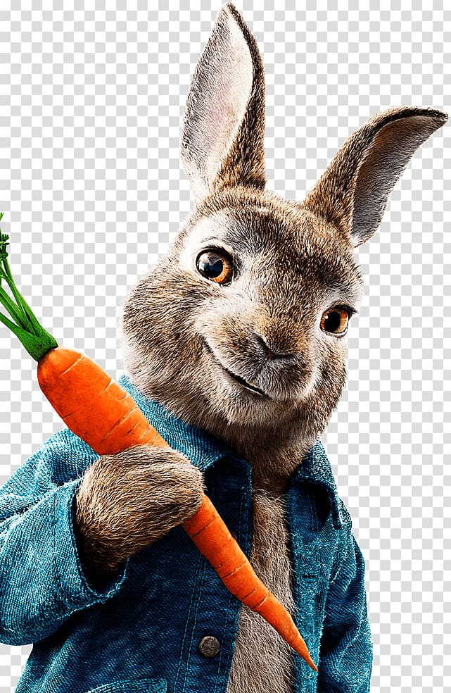 rabbit holding carrot, The Tale of Peter Rabbit Mr. McGregor Meet Peter Rabbit Cinema Film, peter rabbit transparent background PNG clipart