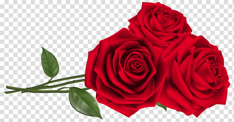 Rose Red Teleflora Flower bouquet, Three Red Roses , red flowers transparent background PNG clipart