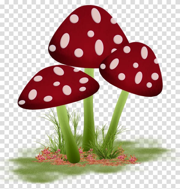 Mushroom Paper Watercolor painting Fungus, Watercolor mushrooms transparent background PNG clipart