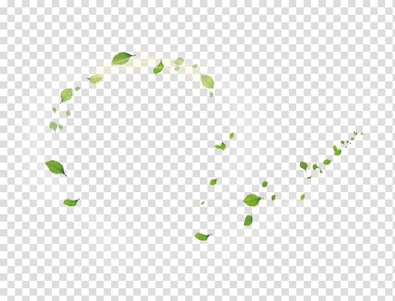 leaves gone by wind , Green Dr. Leonel Espinoza Espinoza , Green leaves whirlwind floating material transparent background PNG clipart