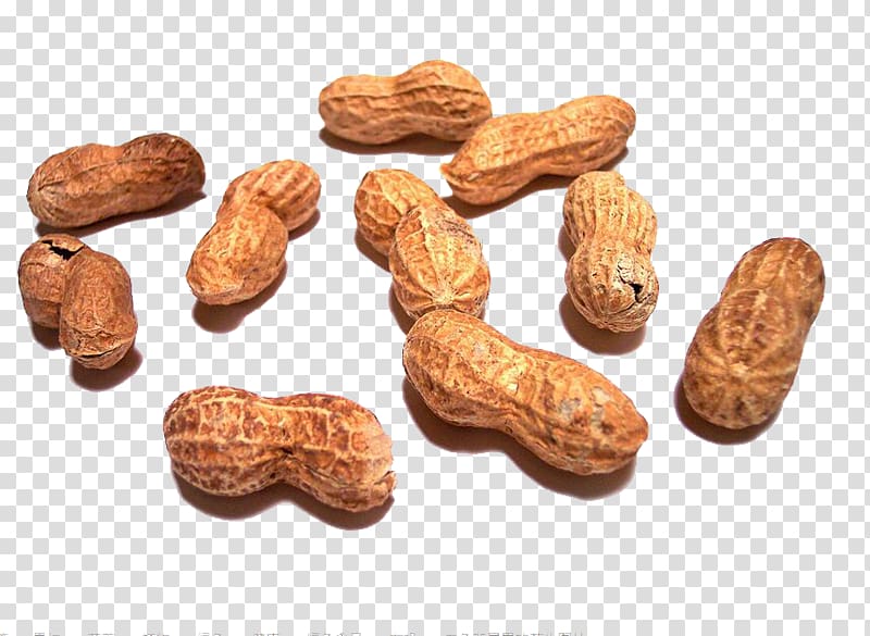 Peanut allergy, Sunshine Peanut transparent background PNG clipart