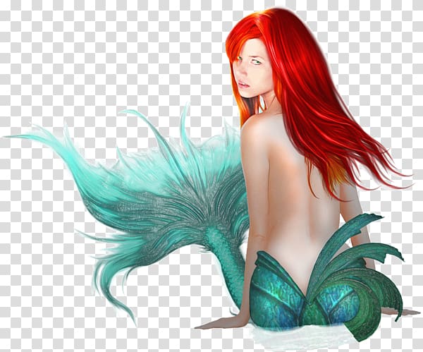 Mermaid Rusalka Ariel , Mermaid transparent background PNG clipart
