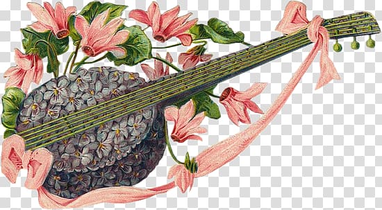 hand-painted floral fantasy material,beautiful instrument transparent background PNG clipart