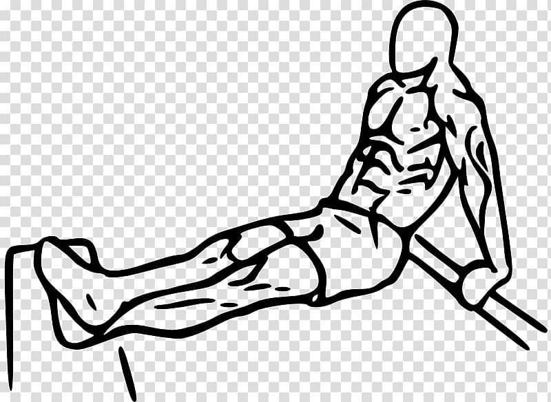 Triceps brachii muscle Dip Lying triceps extensions Bench Pushdown, arm transparent background PNG clipart
