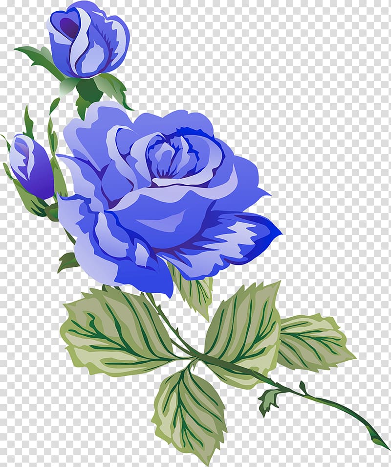 Garden roses Flower, blue flower transparent background PNG clipart