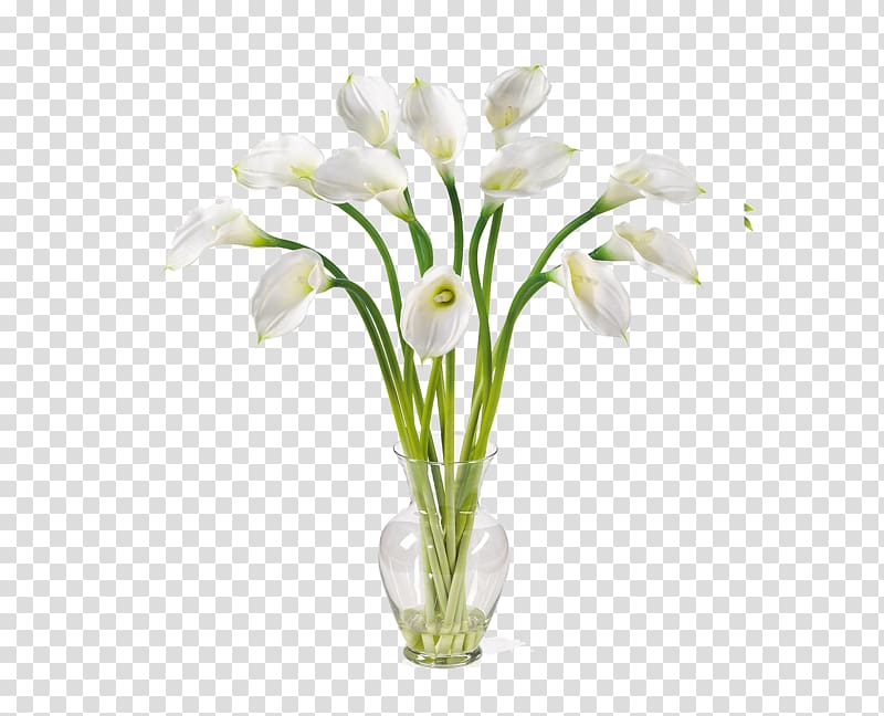 Arum-lily Artificial flower Lilium Callalily, Calla transparent background PNG clipart