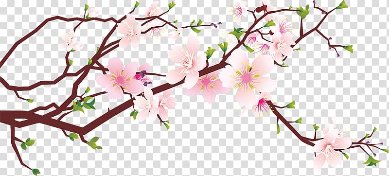 pink and white flowers on branch illustration, Cherry blossom , Peach blossom transparent background PNG clipart