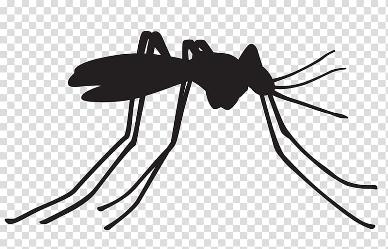 Dengue fever Mosquito control Malaria Mosquito-borne disease, transparent background PNG clipart