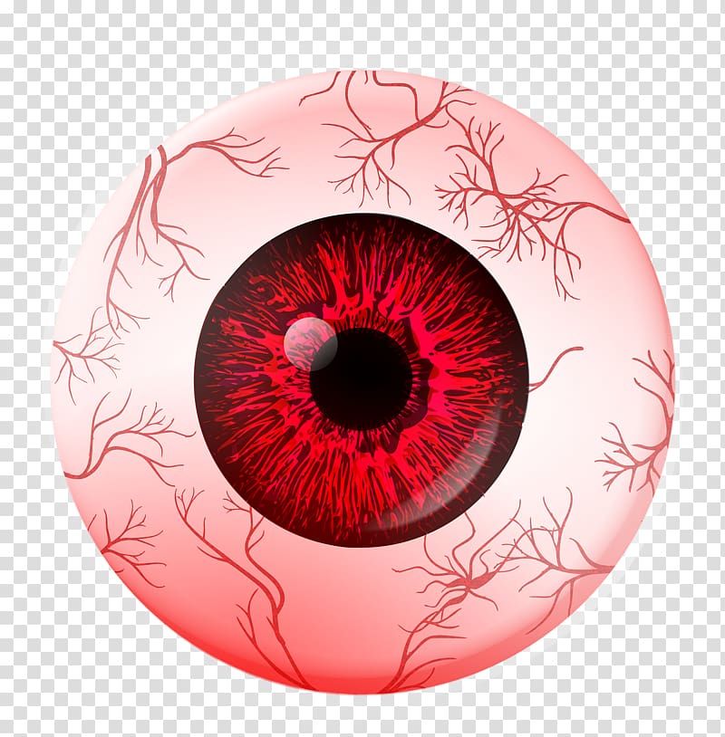 Red eye Extraocular muscles Human eye Eye movement, veins transparent