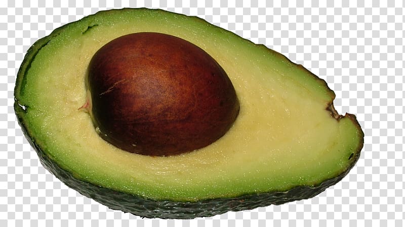 Hass avocado Avocado toast Tropical fruit, Avocado transparent background PNG clipart