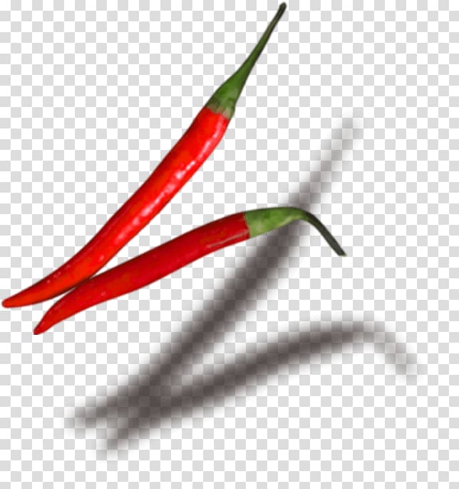 Bird's eye chili Chile de árbol Serrano pepper Tabasco pepper Cayenne pepper, fresh and delicious transparent background PNG clipart