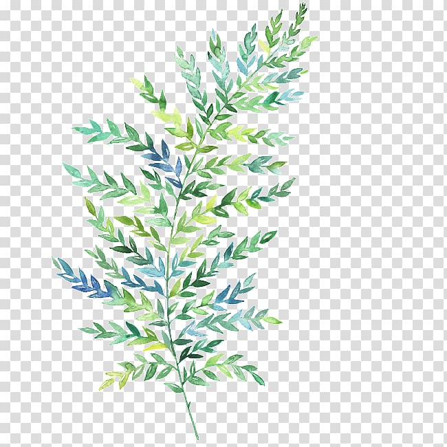 green leaf artwork, Watercolor painting Leaf Fern Botanical illustration, painting transparent background PNG clipart