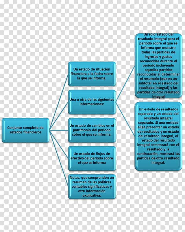 International Financial Reporting Standards Concept map Financial statement Accounting, map transparent background PNG clipart