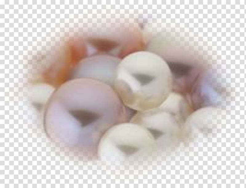 Pearl Gift, perle transparent background PNG clipart