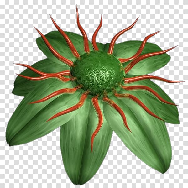 Blog Avatar Petal Flower, avatar transparent background PNG clipart Blog Avatar Petal Flower, avatar transparent background PNG clipart