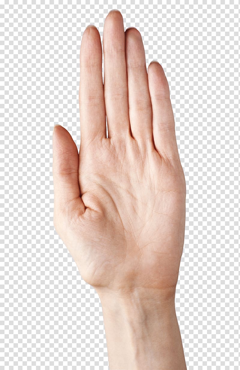 left human palm, Thumb Nail Upper limb Hand model, Hand Showing Five Fingers transparent background PNG clipart