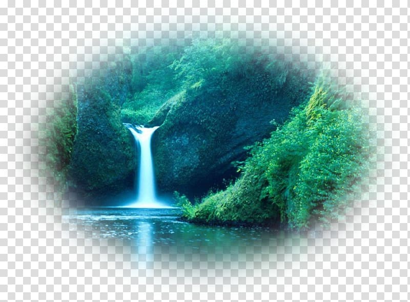 Punch Bowl Falls Sebastopol Salem Learning from Dogs: Innate Wisdom from Man\'s Best Friend Columbia River, waterfalls transparent background PNG clipart