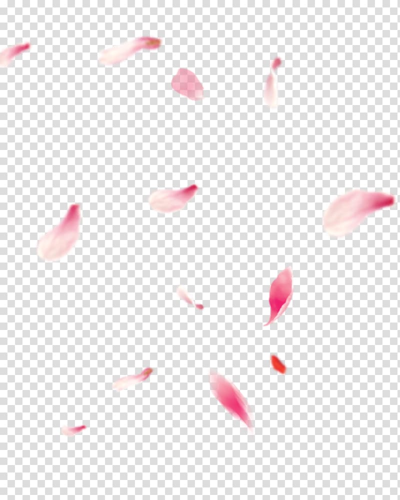 Adobe shop Portable Network Graphics Design Sakura no Hanabiratachi, bang transparent background PNG clipart