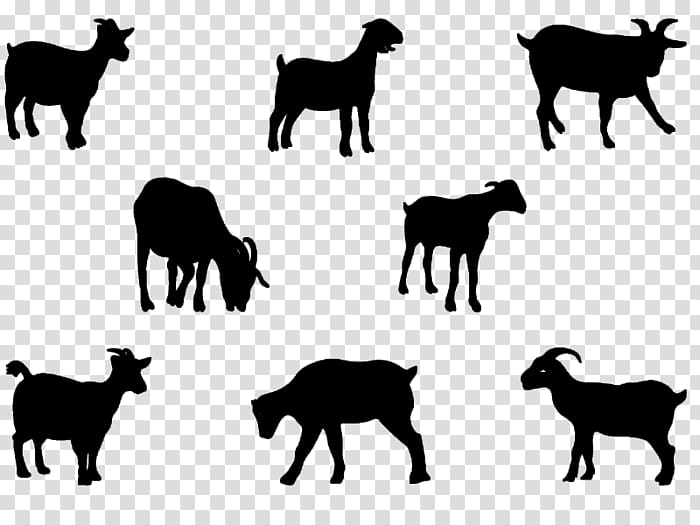 Boer goat Pygmy goat Nigerian Dwarf goat Anglo-Nubian goat, Silhouette transparent background PNG clipart