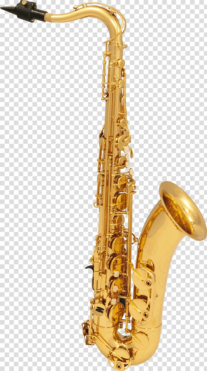 Henri Selmer Paris Tenor saxophone Reference 54 Alto saxophone, saxophones transparent background PNG clipart