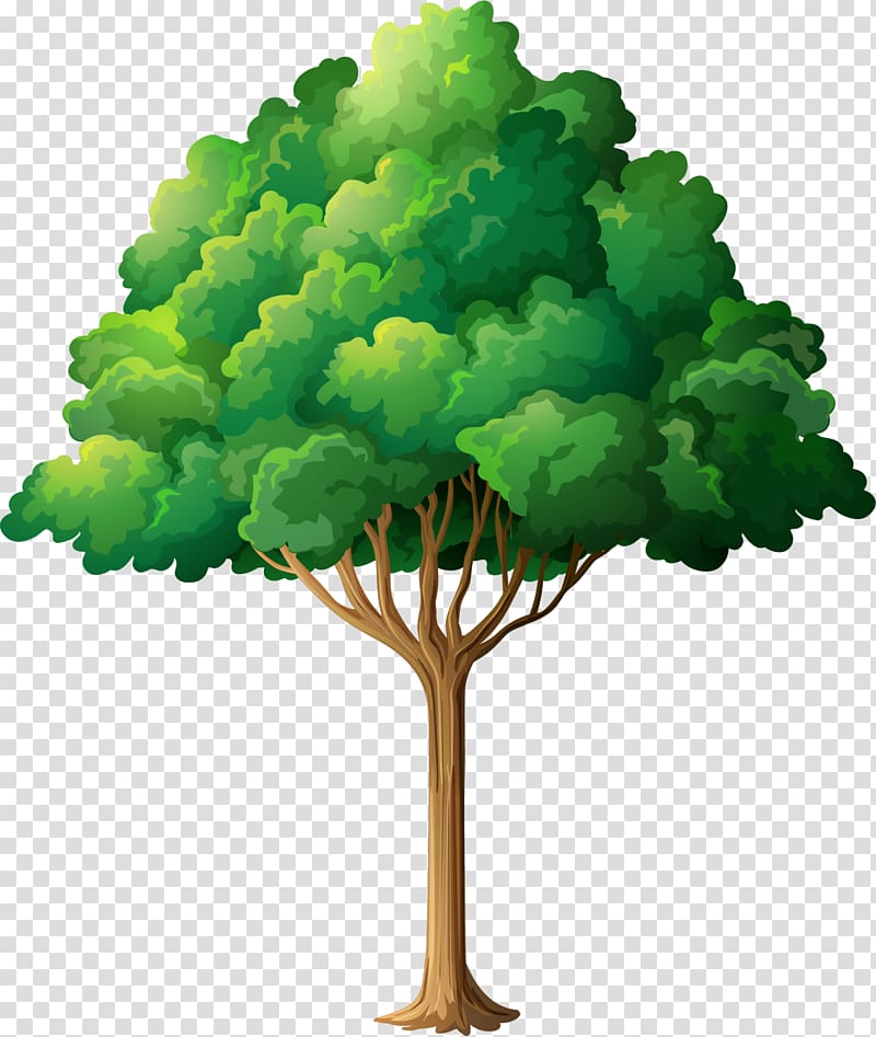 Tree planting Branch , Hand-painted green tree transparent background PNG clipart