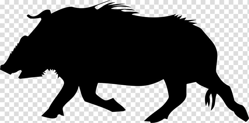 Boar transparent background PNG clipart