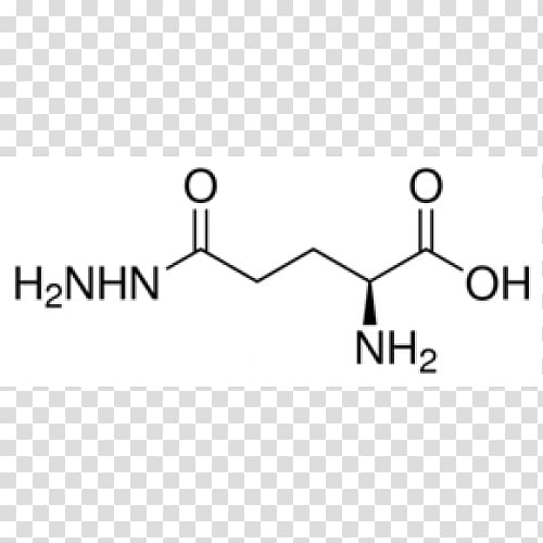 Acetyllysine gamma-L-Glutamyl-L-cysteine Glutamic acid, Glutaric Acid transparent background PNG clipart