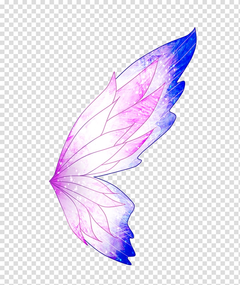 Musa Fairy Drawing, coração transparent background PNG clipart