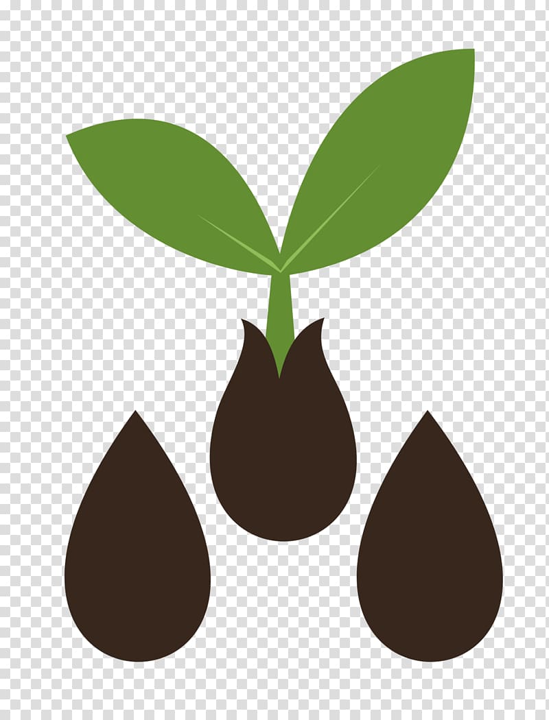 Seed Sprouting Cutie Mark Crusaders , seed transparent background PNG clipart