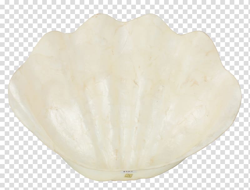 Mateus Ceramic Artifact .de Seashell, treasure bowl transparent background PNG clipart