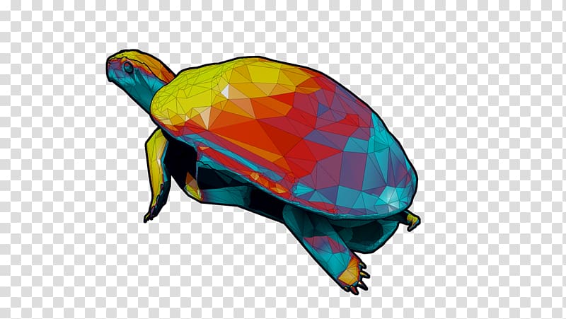 Sea turtle Tortoise Graphics Product design, turtle transparent background PNG clipart