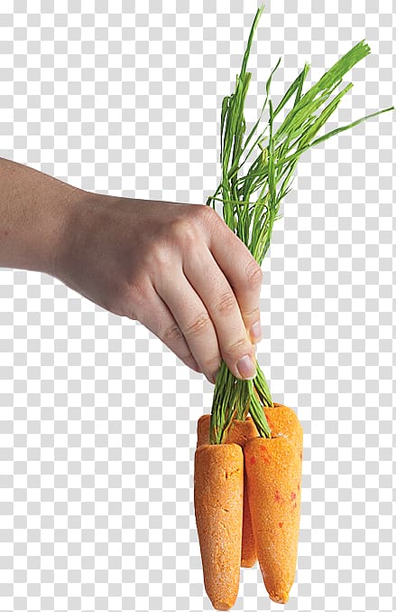 Baby carrot Lush Food Mirepoix, bunch of carrots transparent background PNG clipart