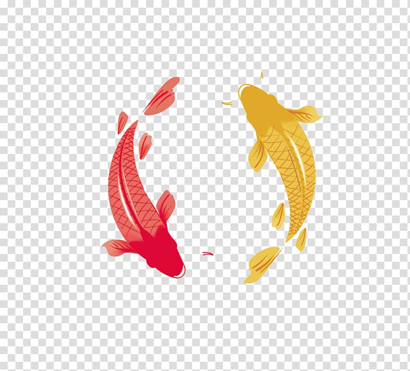 Koinobori, Swimming carp transparent background PNG clipart