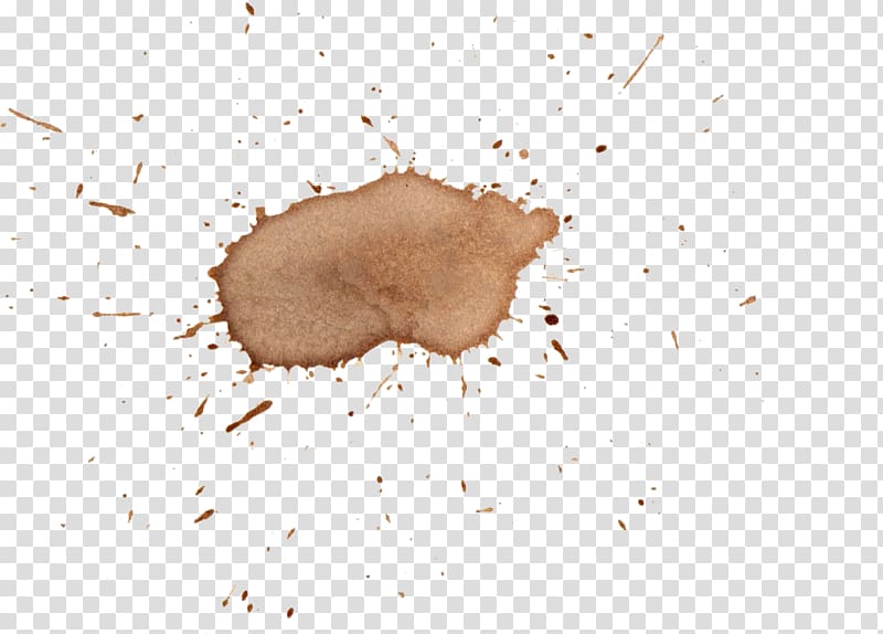 Coffee United Nations Security Council Resolution 1386 Snout, watercolor stain transparent background PNG clipart