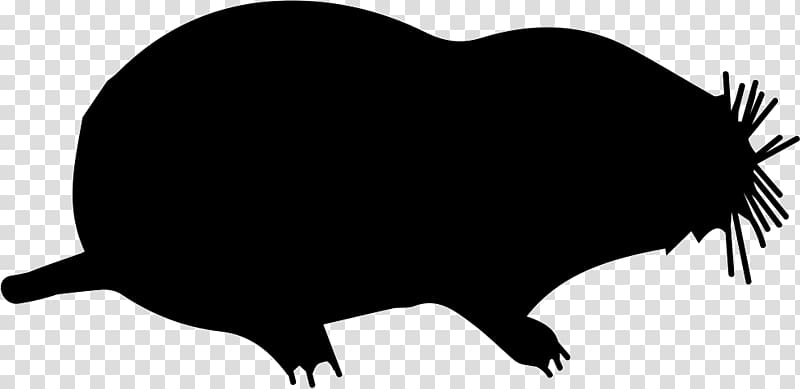 Rat Moles Shape Animal Mammal, rat transparent background PNG clipart