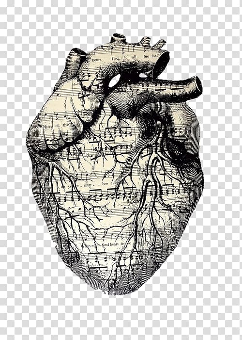 Drawing Musical theatre Artist, sloth heart transparent background PNG clipart