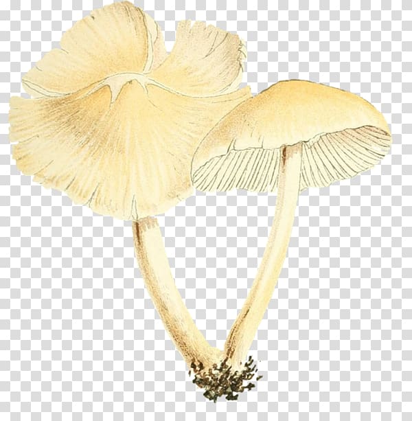 Mushroom poisoning Food Wii, mushroom transparent background PNG clipart