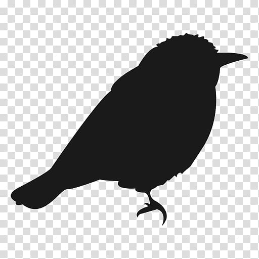 Bird Silhouette graphics Euclidean Passerine, crow material transparent background PNG clipart