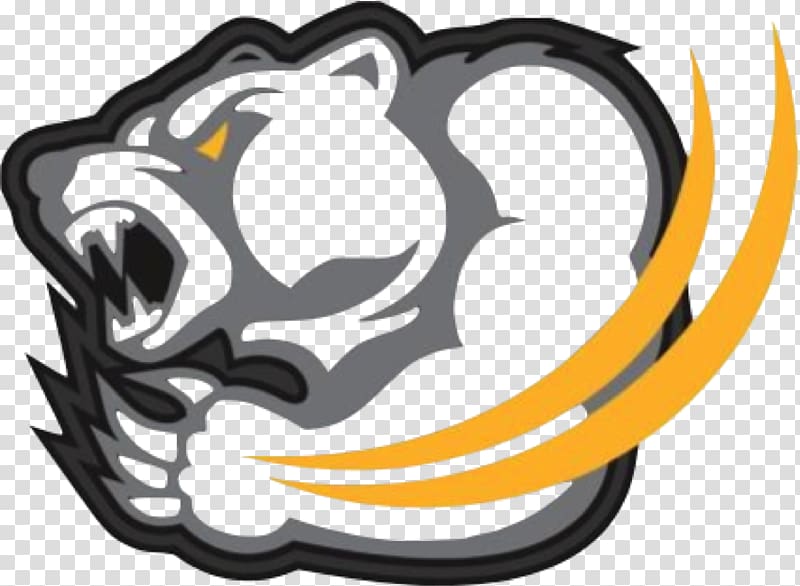 Chicago Bears Temecula Valley High School Logo Basketball Sport, Basket Ball Logo transparent background PNG clipart